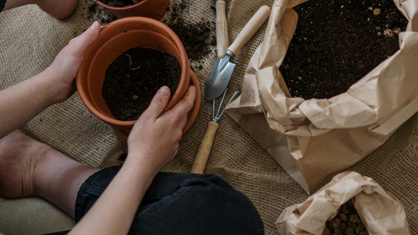 Close-up of hands handling indoor plant soil, demonstrating the process of choosing and preparing the best soil for houseplants.